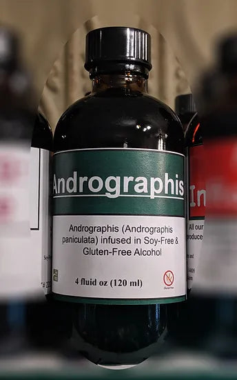 Healing Spirits Andrographis Tincture 4oz