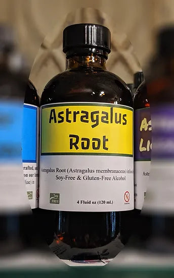 Healing Spirits Astragulus 4 oz