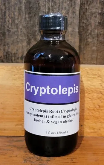 Healing Spirits Cryptolepis 4oz