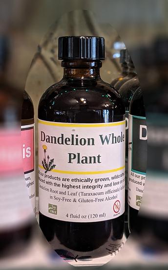 Healing Spirits Dandelion (Whole Plant) 4oz