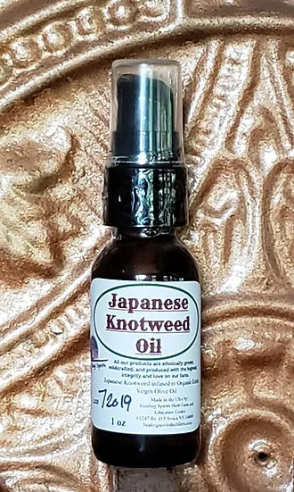 Healing Spirits Japanese Knotweed Oil 1oz